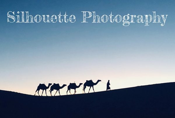 Best Examples of Silhouette Photography with Tips and 10 Photo Ideas