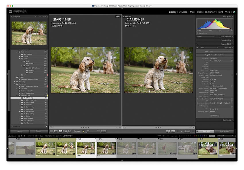 C – Compare view in Lightroom Classic C – Compare view in Lightroom Classic