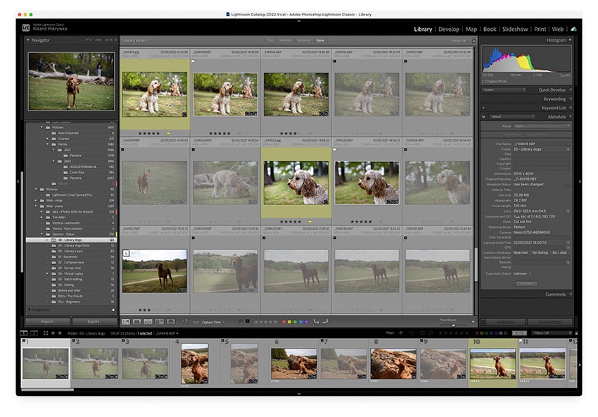 G – Grid view in Lightroom Classic G – Grid view in Lightroom Classic