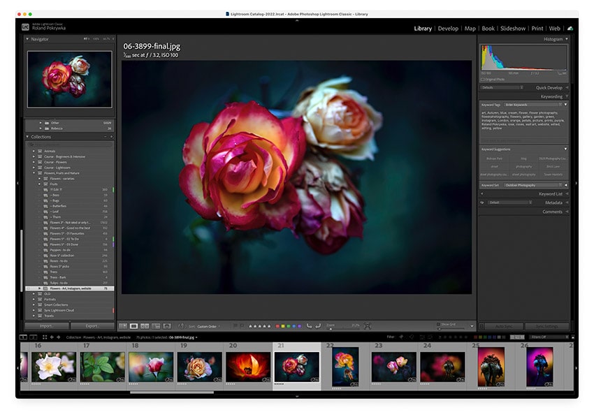 Regular view in Lightroom Classic how to use lights out mode in Lightroom Classic