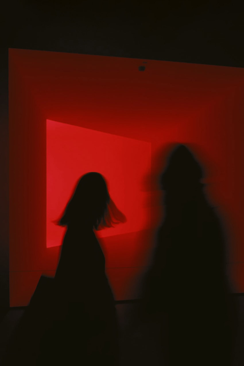 silhouette photography examples using color