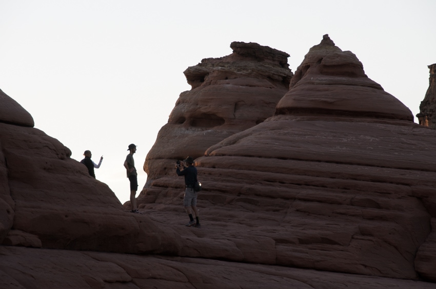 editing-software_DSC8351-overexposed