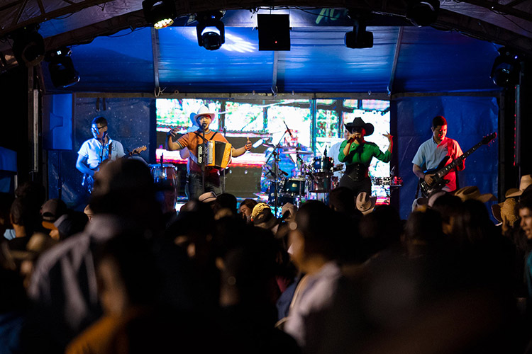 Volcán Flower Festival Concert